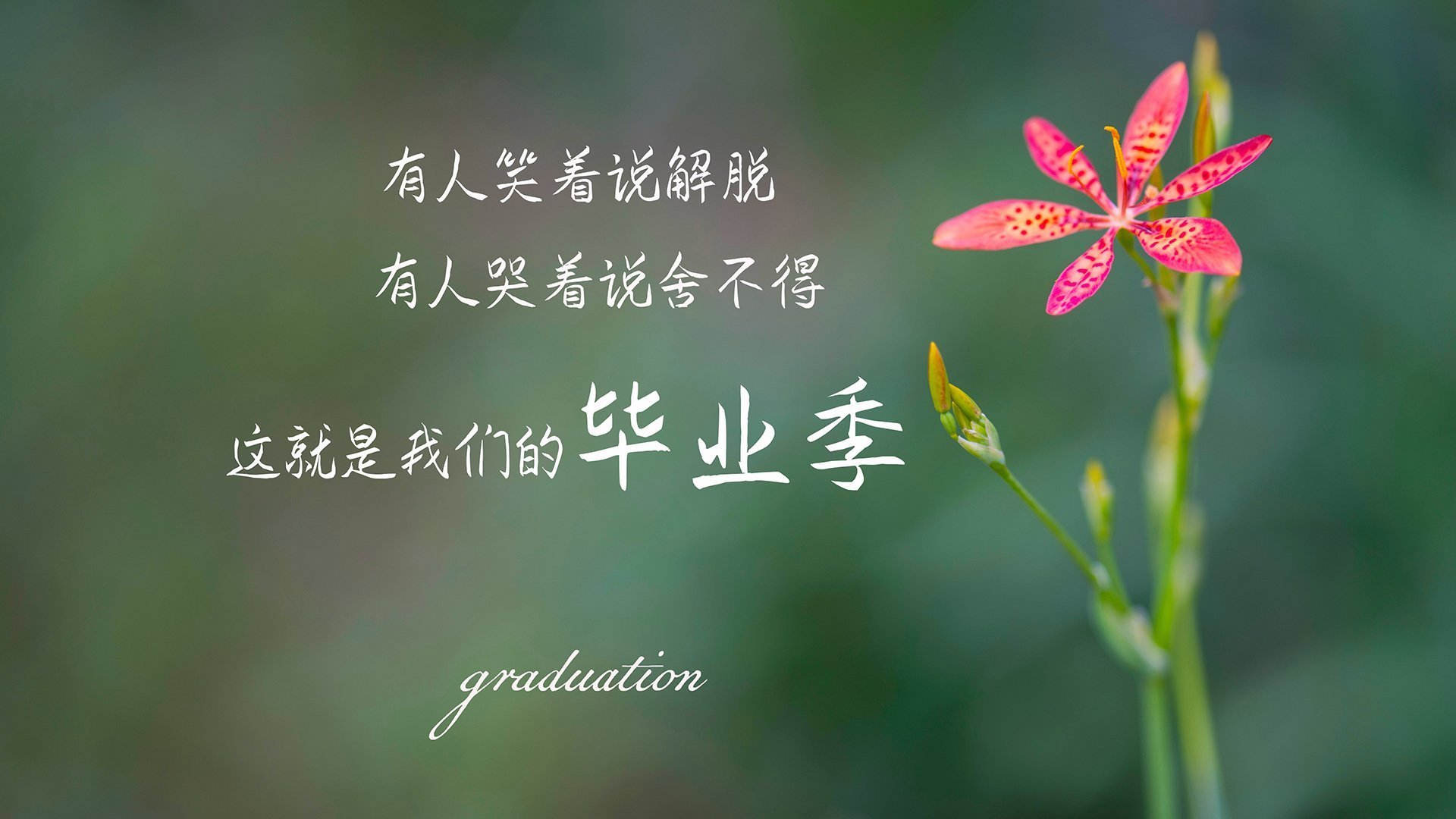 “简阳文体中心：羽毛球赛场上的快速反应与精准击球”