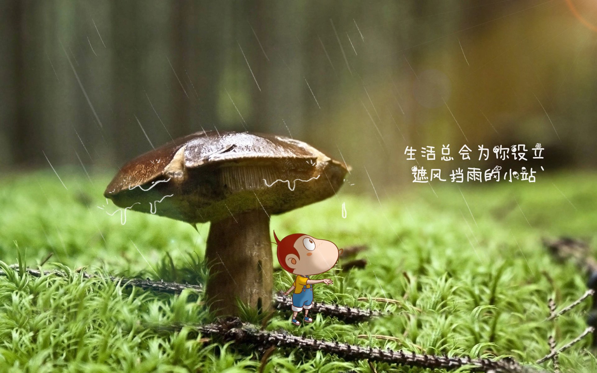 kaiyun中国官方网站-中国男篮引入视频辅助提升复盘质量，中国男篮蓝队视频