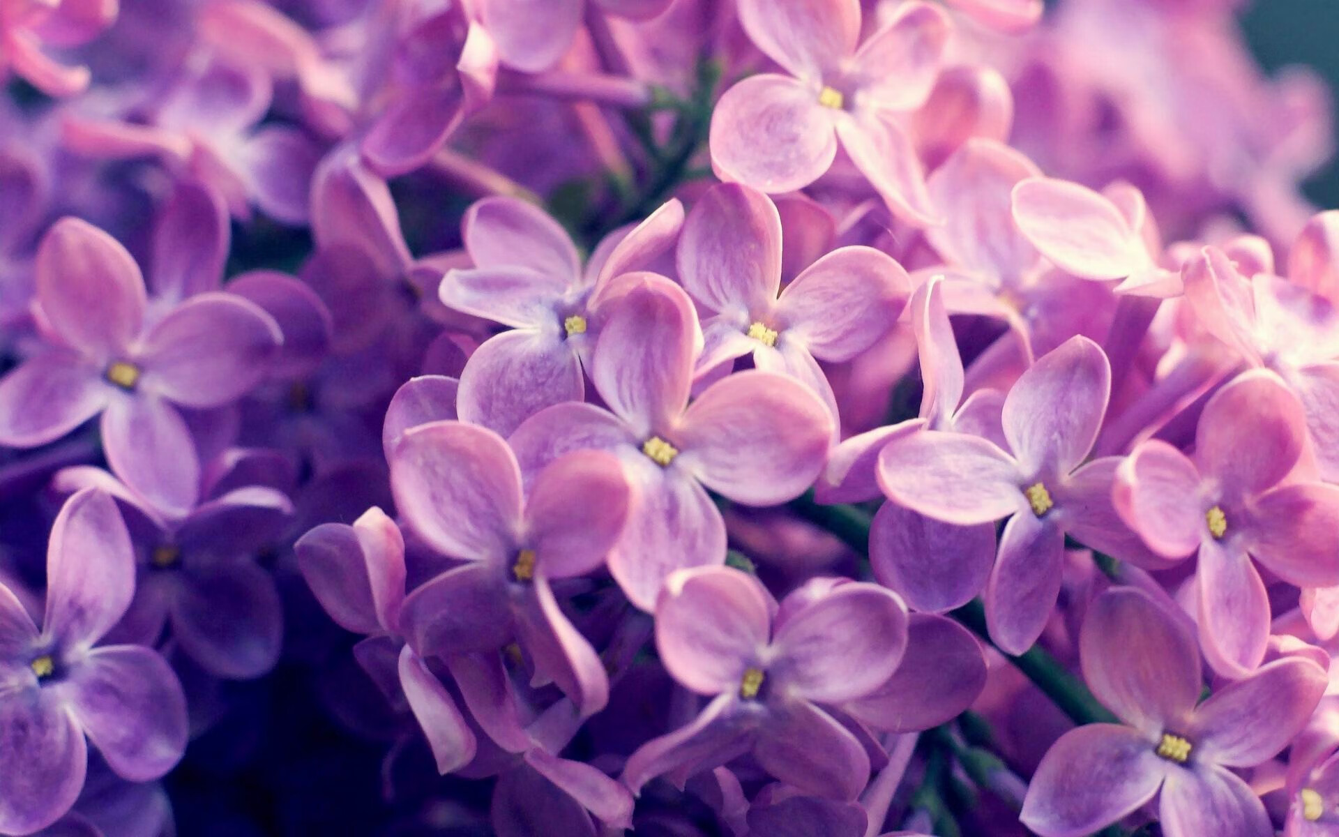 快攻节奏下的回传选择是否更具迷惑性，快攻形式