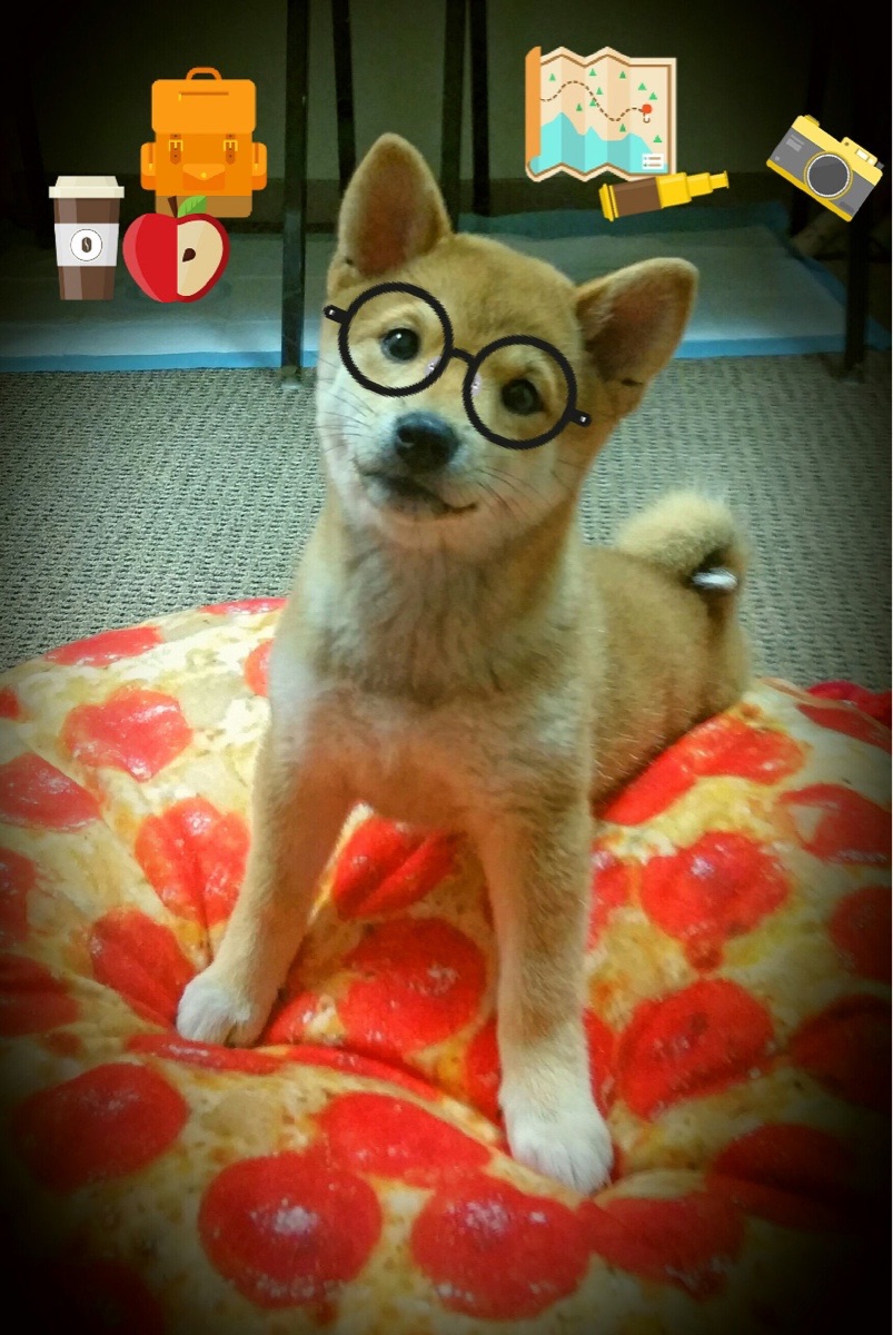 比赛节奏断裂是否影响中场球员判断与站位，球队节奏