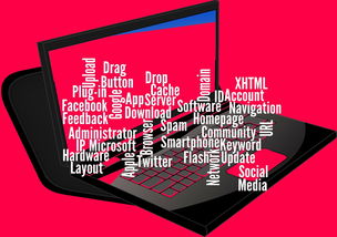 开云中国-CBA开展球员社交媒体管理课程提高职业素养，运动员社交媒体