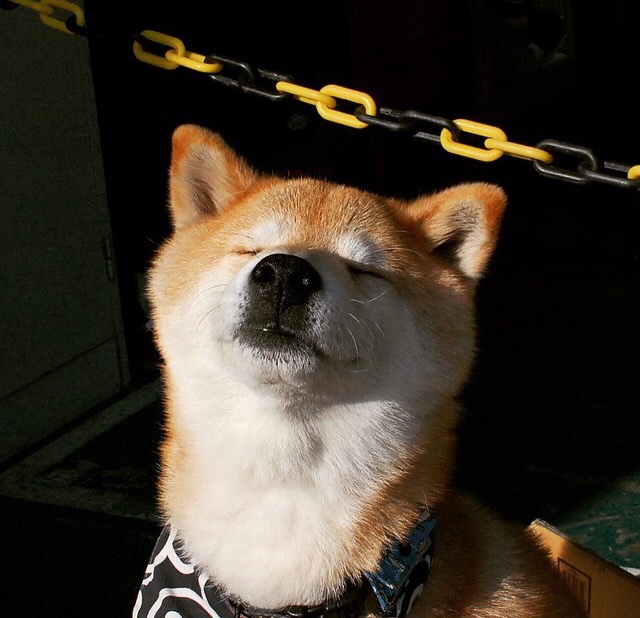 国家体育科技中心启动智能化训练平台实地测试计划，国家体育技术总局