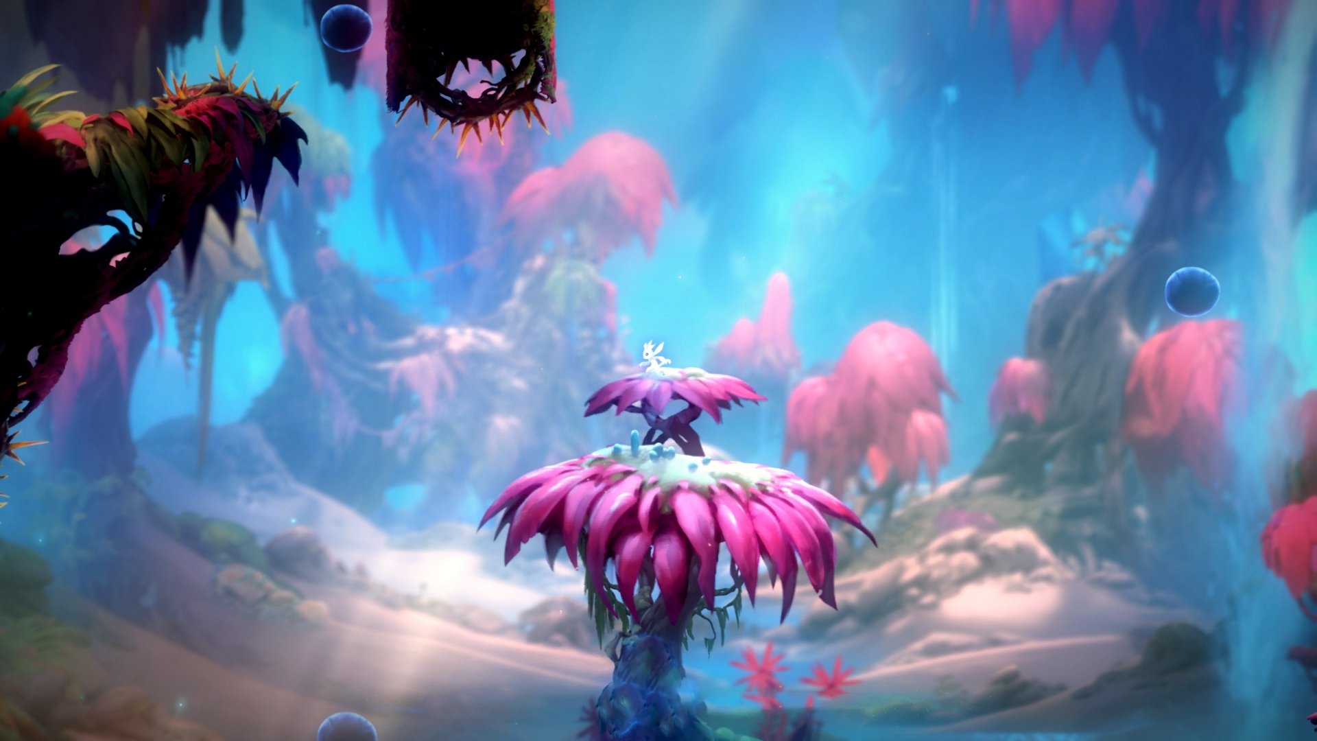 国家队营养师团队升级科学饮食计划助力球员体能提升，国家队营养师解鹏