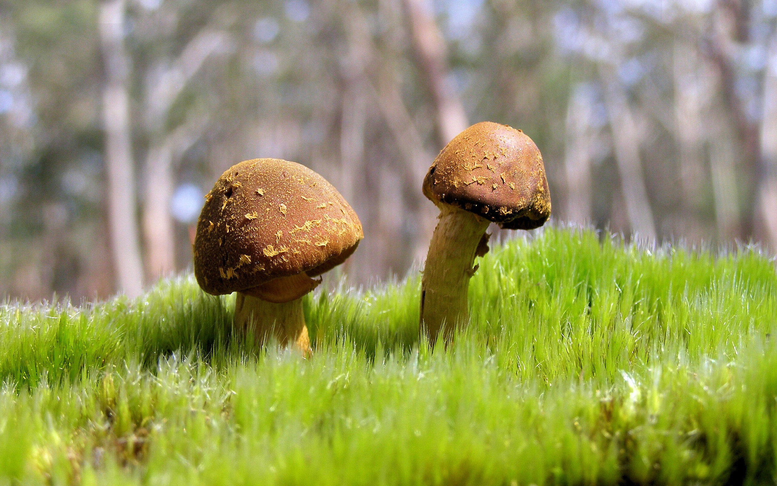 开云在线直播-基：全黑队后防线的“防守核心”，他是球队的守护神