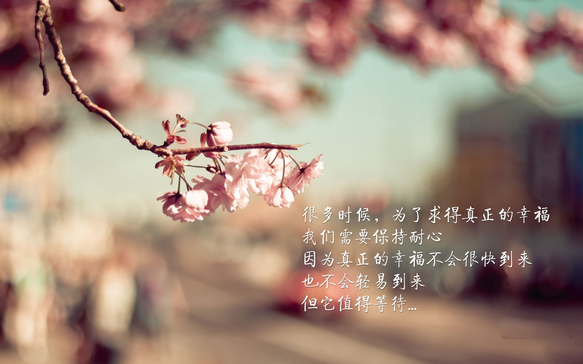 开云体育网页版-威少攻防一体奇才伤病名单更新，威少进过一防吗